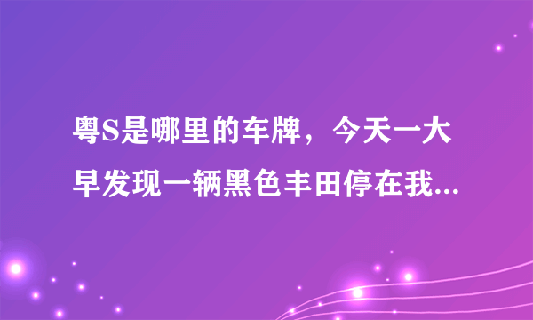 粤S是哪里的车牌，今天一大早发现一辆黑色丰田停在我家路边。