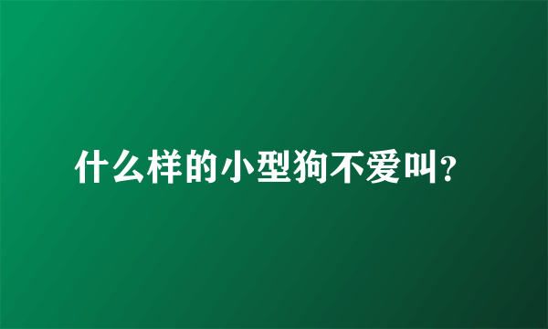 什么样的小型狗不爱叫？