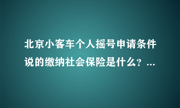 北京小客车个人摇号申请条件说的缴纳社会保险是什么？是五险一金还是只交养老保险啊。