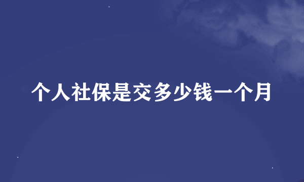 个人社保是交多少钱一个月