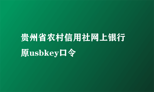 贵州省农村信用社网上银行 原usbkey口令