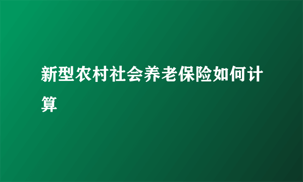 新型农村社会养老保险如何计算