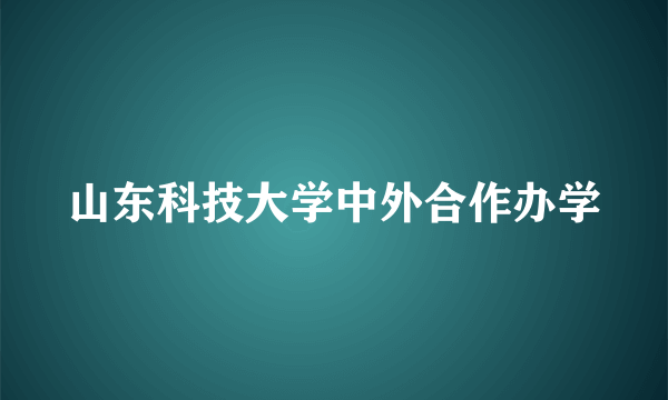 山东科技大学中外合作办学