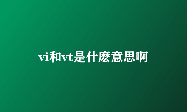 vi和vt是什麽意思啊