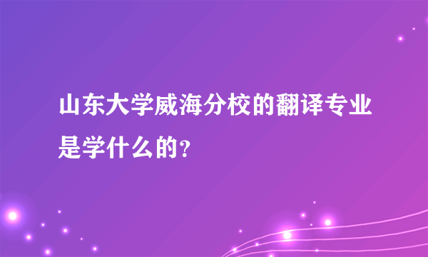 山东大学威海分校的翻译专业是学什么的？