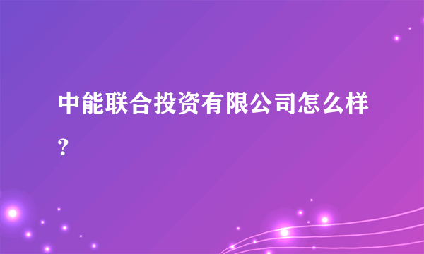 中能联合投资有限公司怎么样？