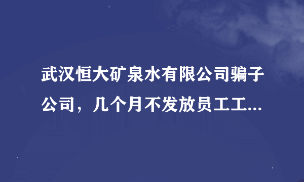 武汉恒大矿泉水有限公司骗子公司，几个月不发放员工工资，怎么投诉？