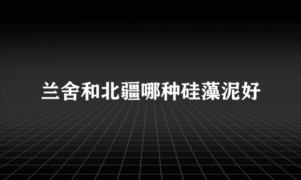 兰舍和北疆哪种硅藻泥好