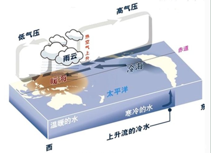 厄尔尼诺现象对我国的影响主要表现在哪些方面？