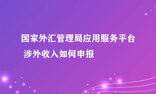 国家外汇管理局应用服务平台 涉外收入如何申报