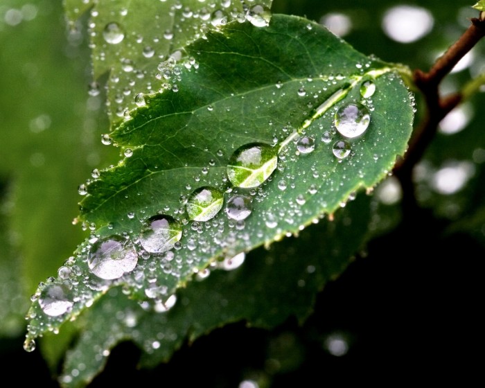 求雨滴桌面的素材包，要多一点，要唯美风格的有意境一点。还有问一下雨点桌面秀2.3全都不会搞，天气怎么改