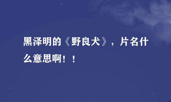 黑泽明的《野良犬》，片名什么意思啊！！