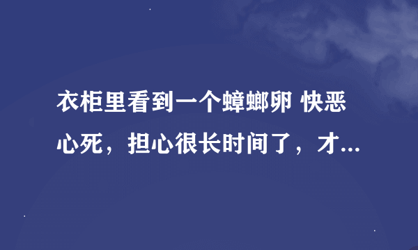 衣柜里看到一个蟑螂卵 快恶心死，担心很长时间了，才被发现，