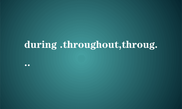 during .throughout,throught ,while ,有什么区别啊？