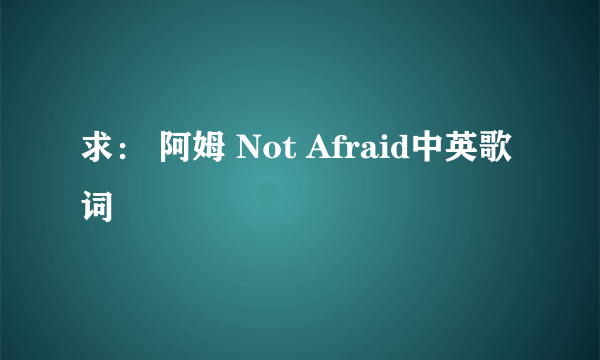 求： 阿姆 Not Afraid中英歌词