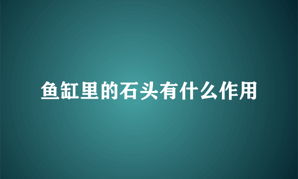 鱼缸里的石头有什么作用