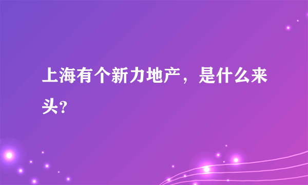 上海有个新力地产，是什么来头？