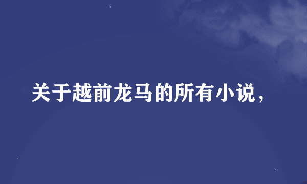 关于越前龙马的所有小说，