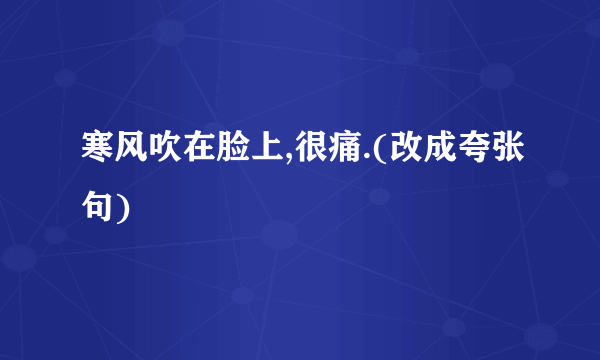 寒风吹在脸上,很痛.(改成夸张句)