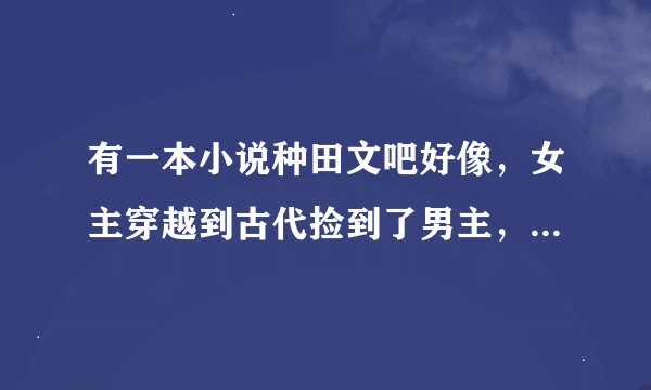 有一本小说种田文吧好像，女主穿越到古代捡到了男主，男主是将军，有