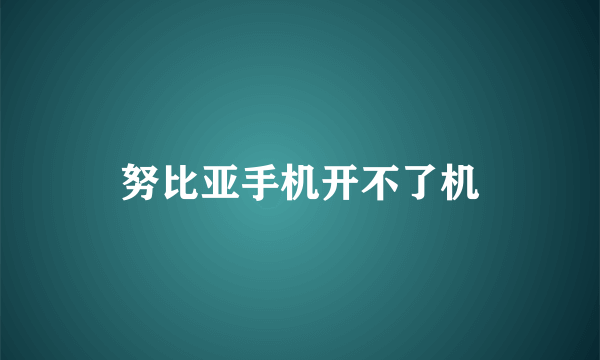 努比亚手机开不了机