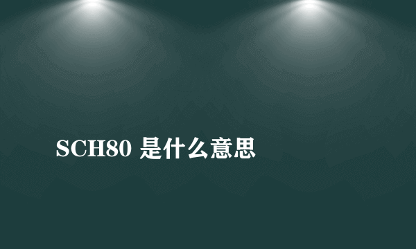 
SCH80 是什么意思
