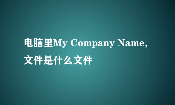 电脑里My Company Name,文件是什么文件