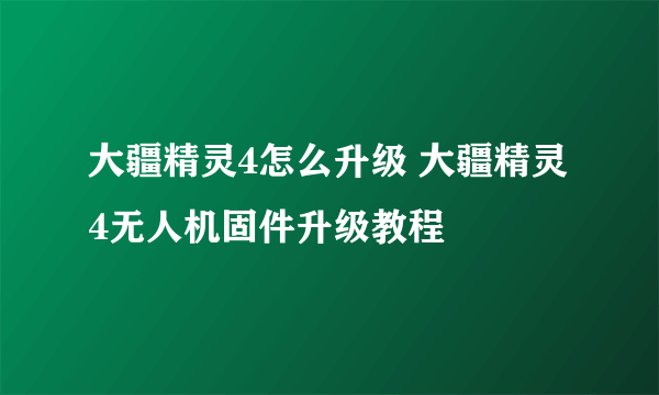 大疆精灵4怎么升级 大疆精灵4无人机固件升级教程