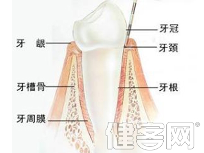 牙槽骨吸收的分类