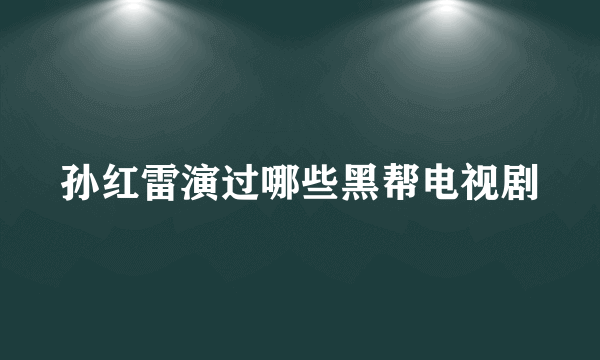 孙红雷演过哪些黑帮电视剧