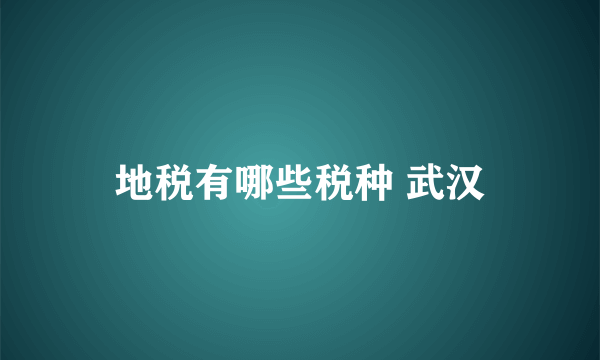 地税有哪些税种 武汉