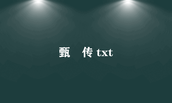 甄嬛传 txt