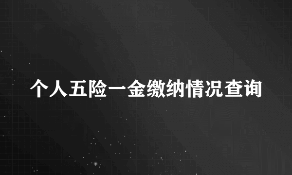 个人五险一金缴纳情况查询