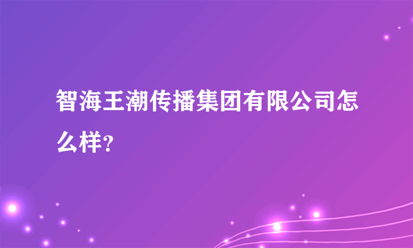 智海王潮传播集团有限公司怎么样？