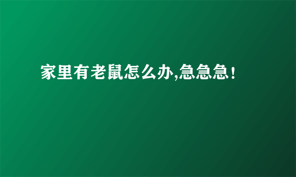 家里有老鼠怎么办,急急急！