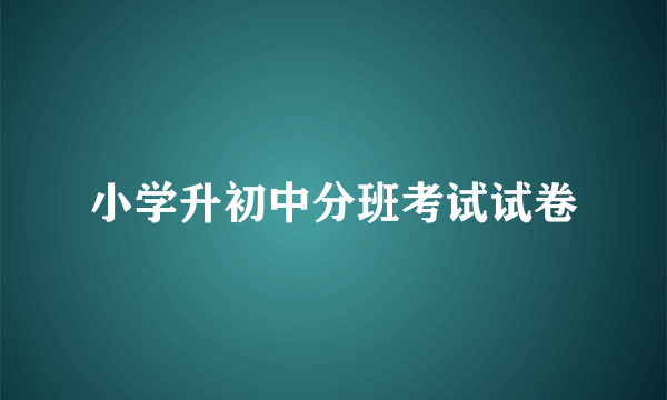 小学升初中分班考试试卷