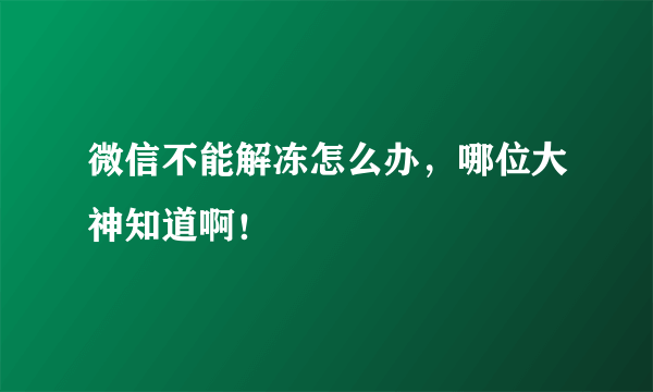 微信不能解冻怎么办，哪位大神知道啊！