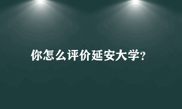 你怎么评价延安大学？