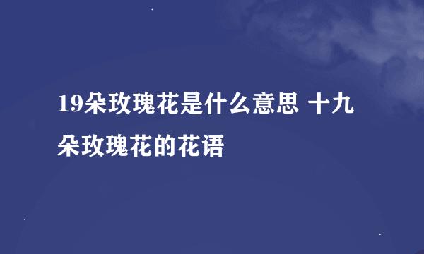 19朵玫瑰花是什么意思 十九朵玫瑰花的花语