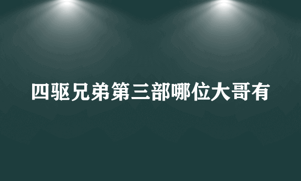 四驱兄弟第三部哪位大哥有