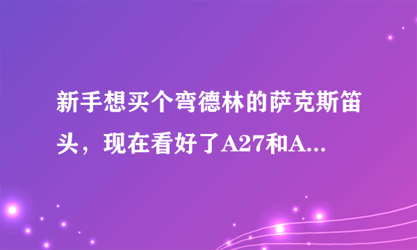 新手想买个弯德林的萨克斯笛头，现在看好了A27和A28两款。请教一下两款都用过的高手们。