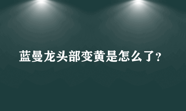 蓝曼龙头部变黄是怎么了？