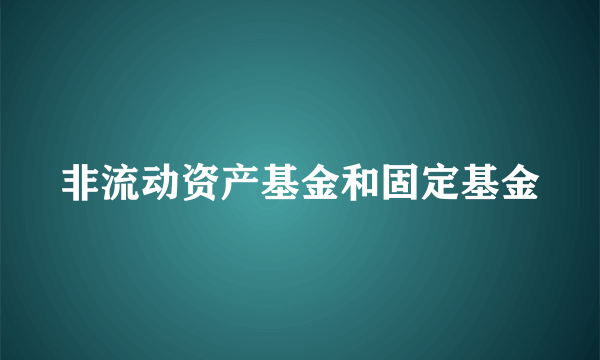 非流动资产基金和固定基金