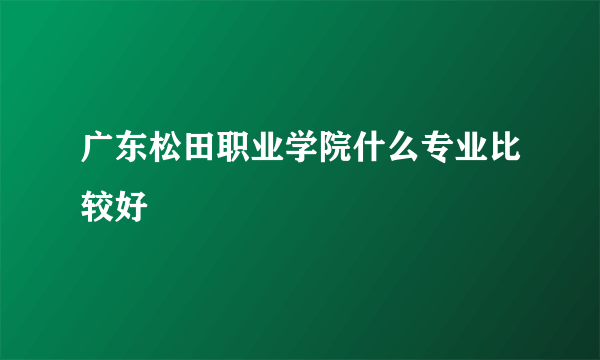 广东松田职业学院什么专业比较好