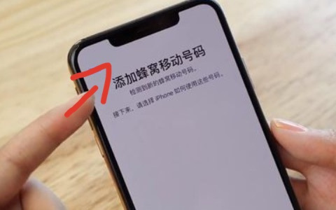 iphone11双卡双待怎么用