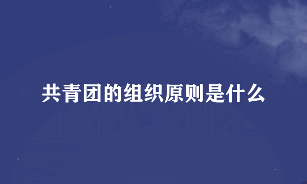 共青团的组织原则是什么