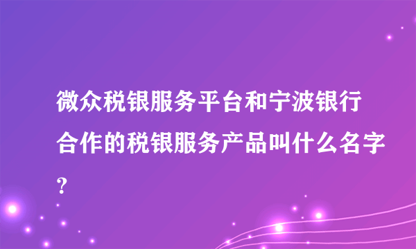 微众税银服务平台和宁波银行合作的税银服务产品叫什么名字？