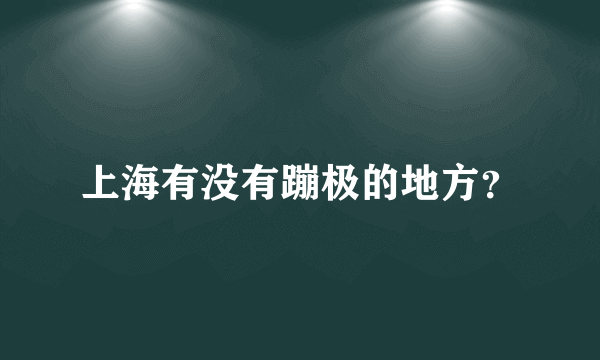 上海有没有蹦极的地方？