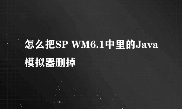 怎么把SP WM6.1中里的Java模拟器删掉