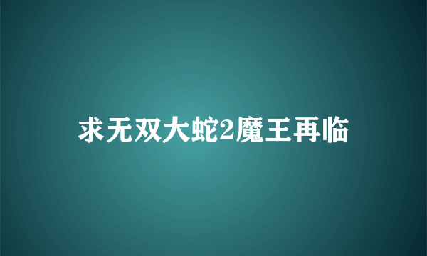 求无双大蛇2魔王再临